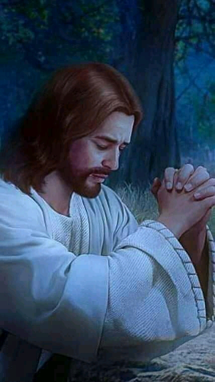 We reflect on this image of Jesus praying. What was Jesus asking his ...